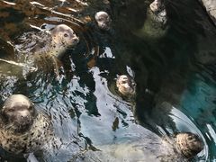 -华夏文旅海洋公园