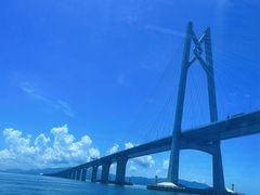 -招商蛇口邮轮母港(观光客运)