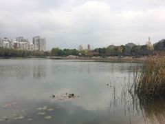 -新江湾城公园