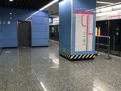 -大龙山(地铁站)