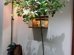 -幸会吉市(丰泽店)