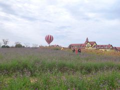 -歌斐颂巧克力小镇