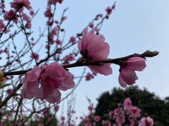 -乌山风景区