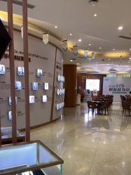 -新生植发·植养护一体