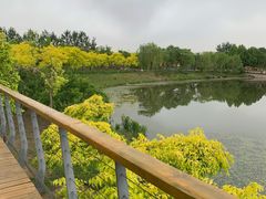 -东郊湿地公园