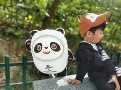 -西安市长乐公园