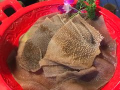 -新廊桥(原科华廊桥店)