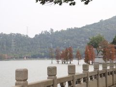 -顺峰山公园