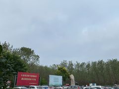 -合肥滨湖国家森林公园