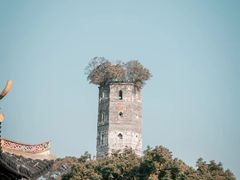 -江心屿景区