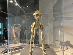 -北京周口店北京人遗址博物馆