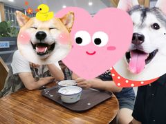 -文昌邓记清补凉(西沙路店)