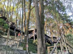 -巴倒烫陆派重庆火锅(南山店)