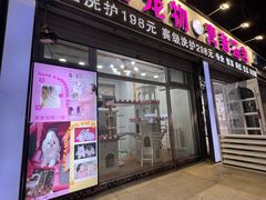 -青奢宠物·青奢猫舍