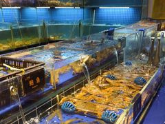 -九月海·海鲜自助(世纪东方店)