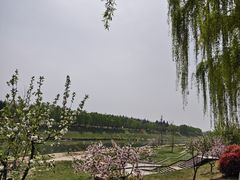 -洨河生态公园