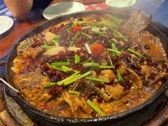 老板恋上鱼-老板恋上鱼(高新万达店)