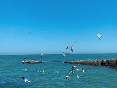 -长岛南北长山旅游景区