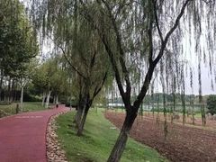 -滨湖塘西河公园
