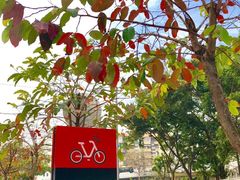 -星海音乐学院(沙河校区)