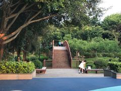 -五缘湾湿地公园