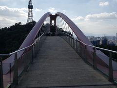 -金鸡山公园