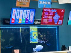 -顺德南宏海立方海洋公园