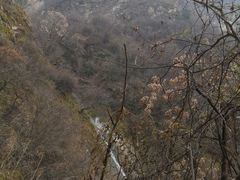 -秦岭风景区