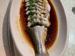 -金美华轩(东方路齐鲁店)