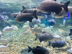 -成都浩海立方海洋公园