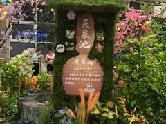 -兴芮温泉度假区