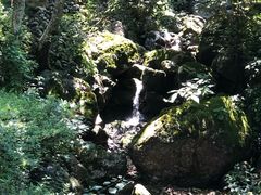 -天明山温泉大酒店