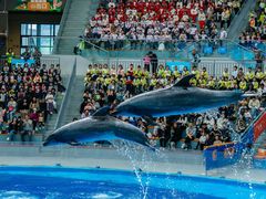 -海合安成都极地海洋公园