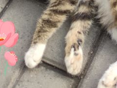 -美联众合动物医院·24h转诊中心