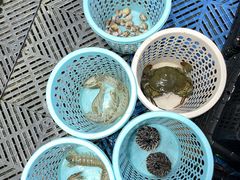 -阿浪海鲜连锁•海鲜加工•老字号(第一市场店)