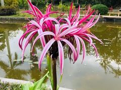 -华南国家植物园-售票处