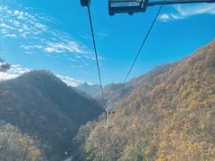 -栾川竹海野生动物园