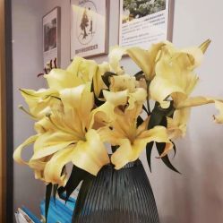 -FineYoga梵音瑜伽·普拉提