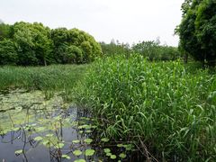 -同里国家湿地公园