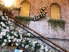 -北京张裕爱斐堡酒庄