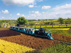 -稻梦空间冰雪小镇