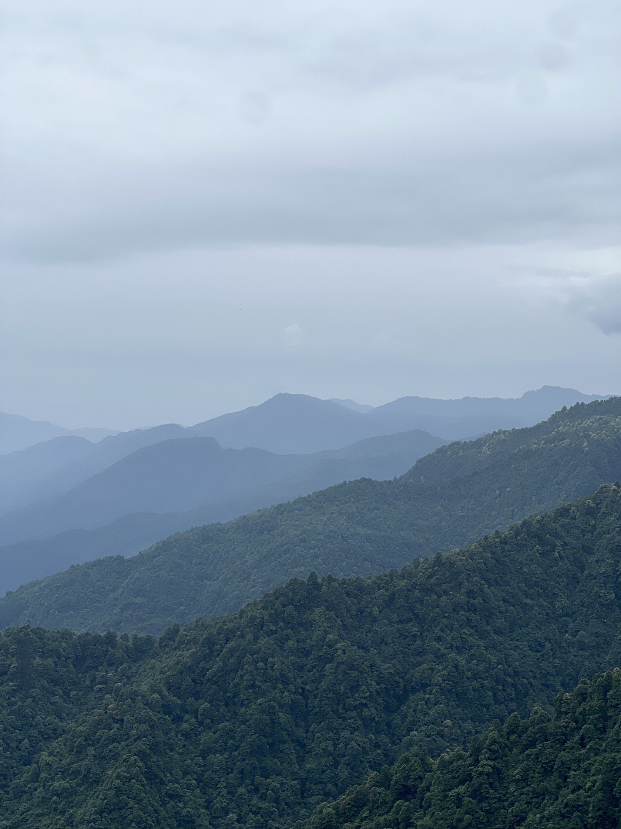 瓦屋山的风景真的没的说,上到高山区天气凉爽甚至有点冷,雾气氤氲.