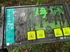 -天目山大树王景区