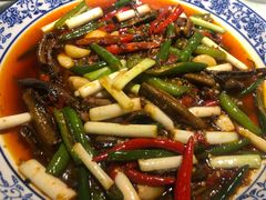 -院8里·小聚园(九眼桥店)