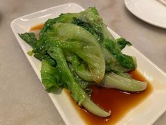 -金鼎轩(方庄天坛店)