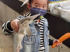 -东河市场