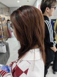 -镁连社·美联社
