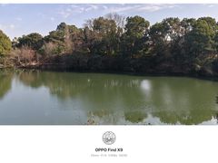 -张鸟园农家乐(张鸟园店)