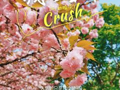 -白塘生态植物园