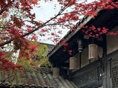 -古今茶语·峨眉山有机茶体验馆